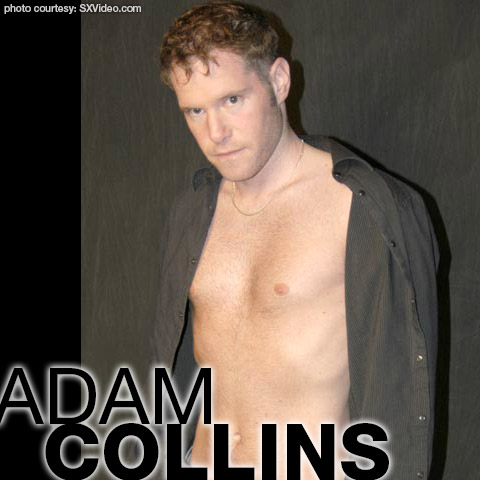 Sxviedos - Adam Collins | American Bareback Gay Porn Star Hot Older Male | smutjunkies  Gay Porn Star Male Model Directory