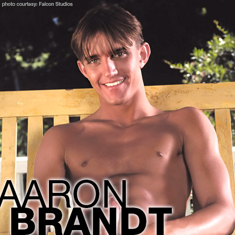 480px x 480px - Aaron Brandt | American Gay Porn Star | smutjunkies Gay Porn Star Male  Model Directory
