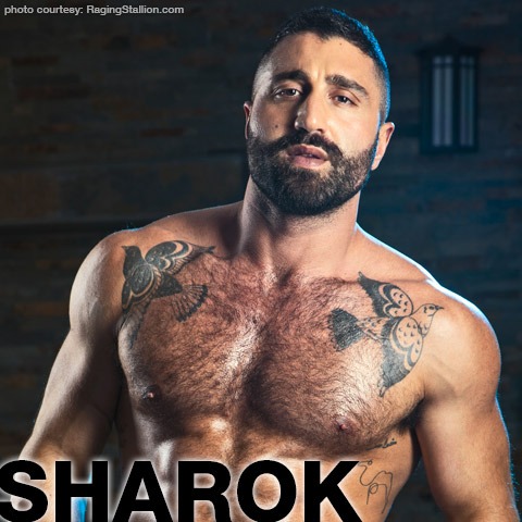 Turkish Gay Porn Star - Sharok / Luca Mykonos | Handsome Escort and Gay Porn Star | smutjunkies Gay  Porn Star Male Model Directory