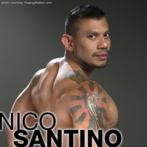 480px x 480px - Nico Santino | Hunky Uncut Tattooed Latino Gay Porn Star | smutjunkies Gay  Porn Star Male Model Directory