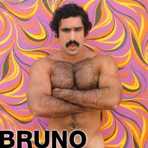 1980s Gay Porn Daddy - Bruno aka: Hermes | Colt Studio Model Gay Porn Super Star