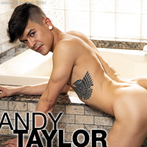 480px x 480px - Andy Taylor | Sexy Twink American Gay Porn Star | smutjunkies Gay Porn Star  Male Model Directory