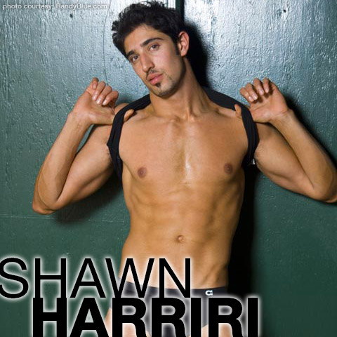 Model Solo - Shawn Harriri | Handsome Nude Model and Solo Performer Gay Porn Star |  smutjunkies Gay Porn Star Male Model Directory