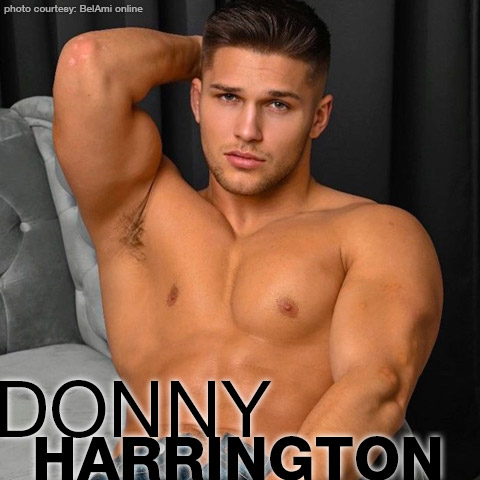 480px x 480px - Donny Harrington | Czech BelAmi Chat-Boy Gay Porn Star | smutjunkies Gay  Porn Star Male Model Directory