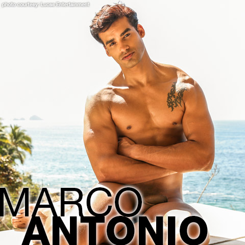 Antonio | Hung Power Top Porn Star | Gay Porn Star Male Model Directory