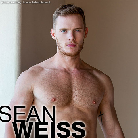 Porn Stars Gay - Sean Weiss | Handsome European Power Bottom Top Gay Porn Star | smutjunkies Gay  Porn Star Male Model Directory